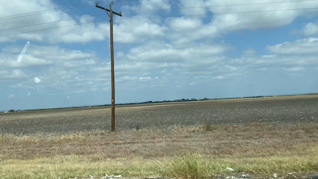 Cotton In Utopia