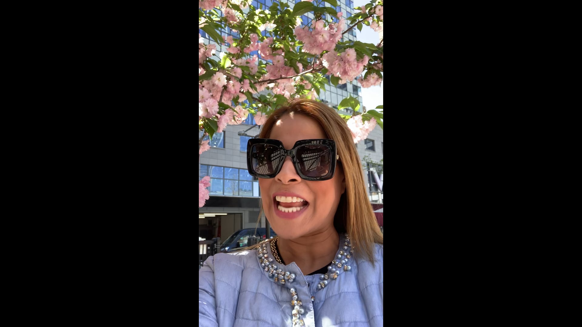 Cherry blossom in NYC