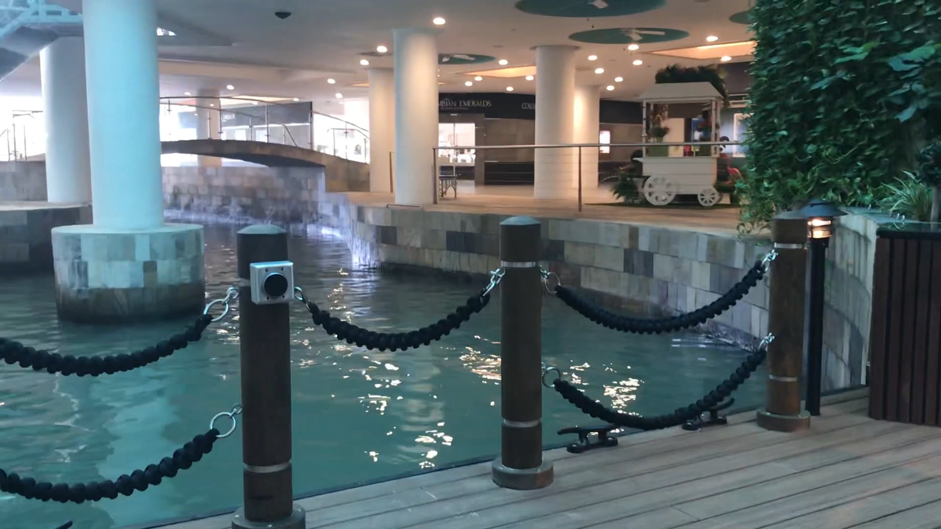 Renaissance pink party