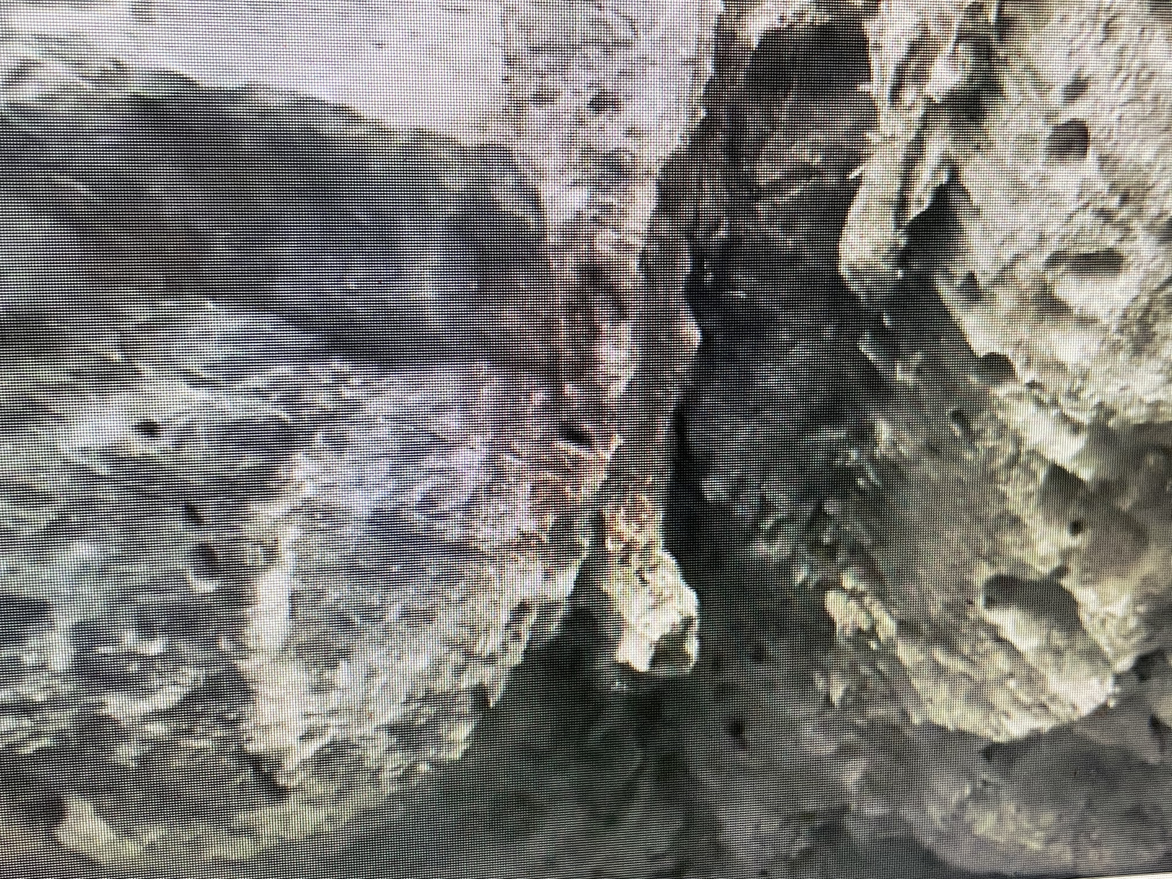 Hiding for a huge rain shower