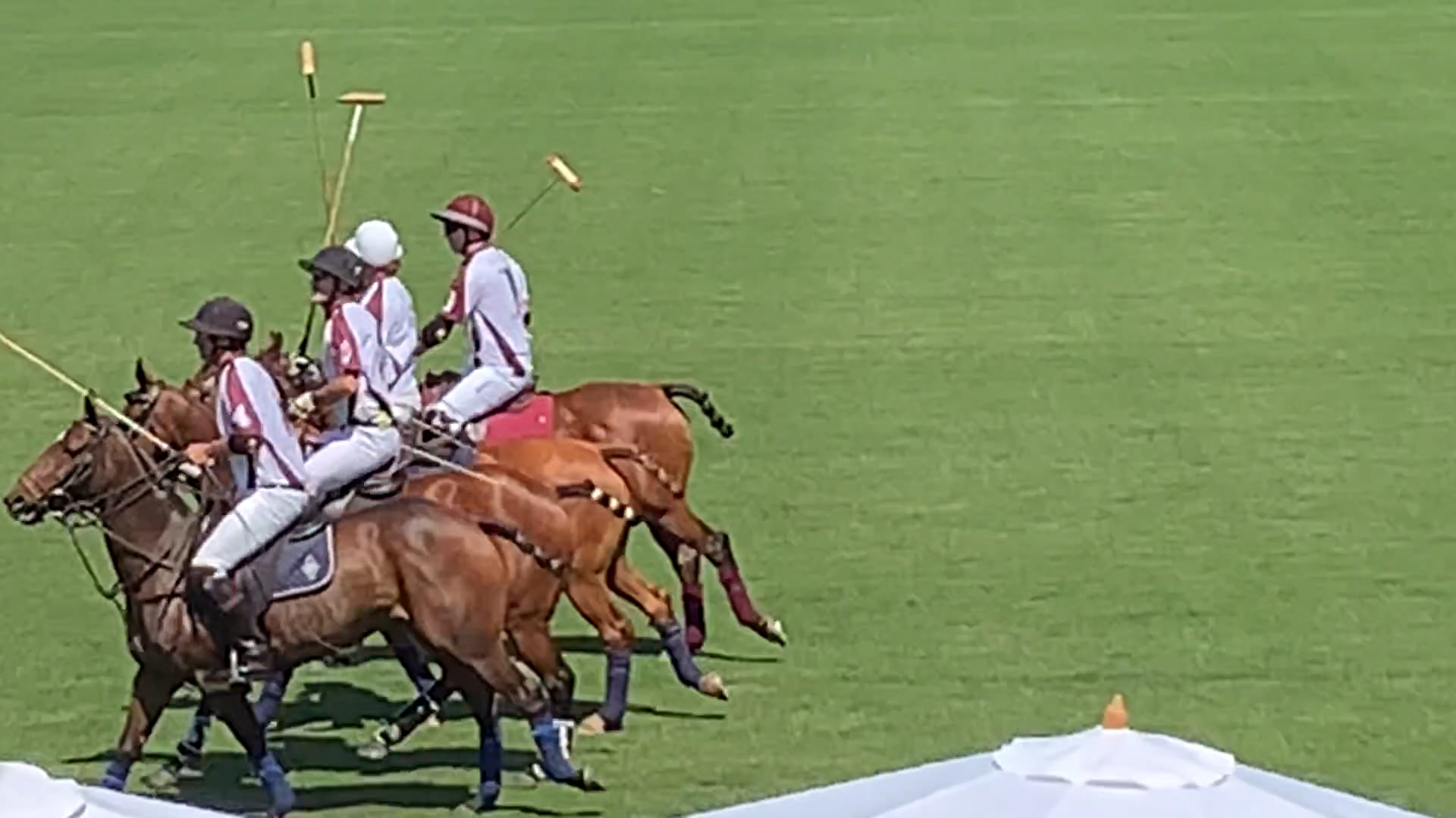 Polo 2019