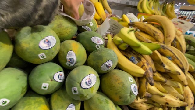 Papaya