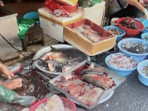 Fresh fish and music