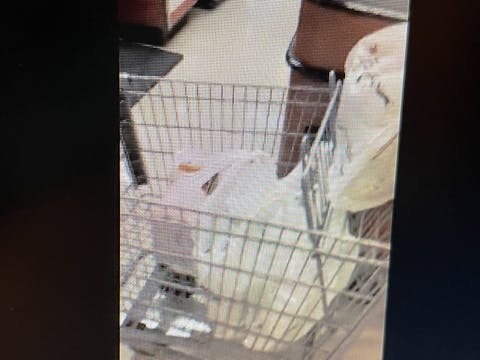 Grocery delivery