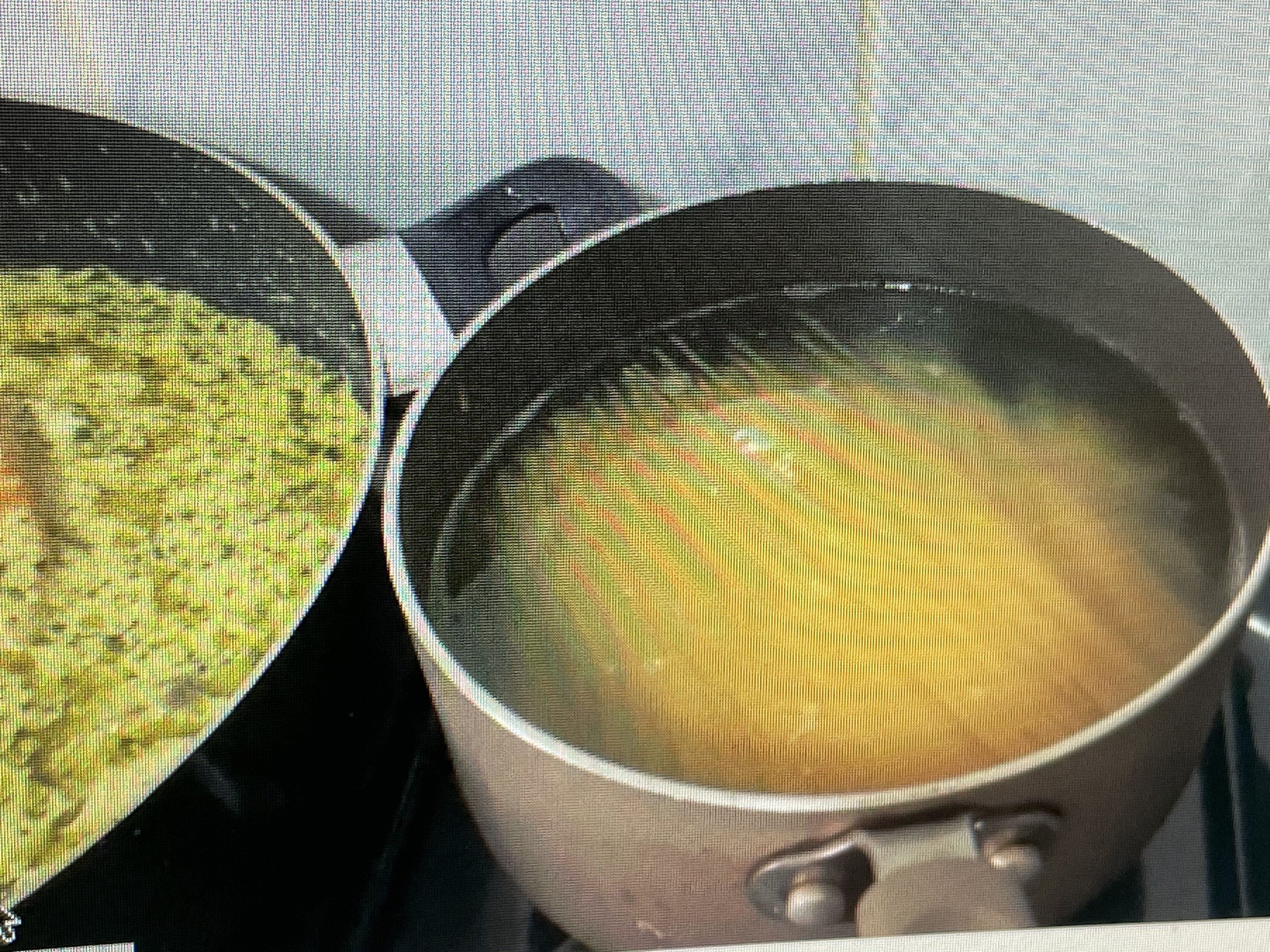 Salmon in the sauce for over the pasta