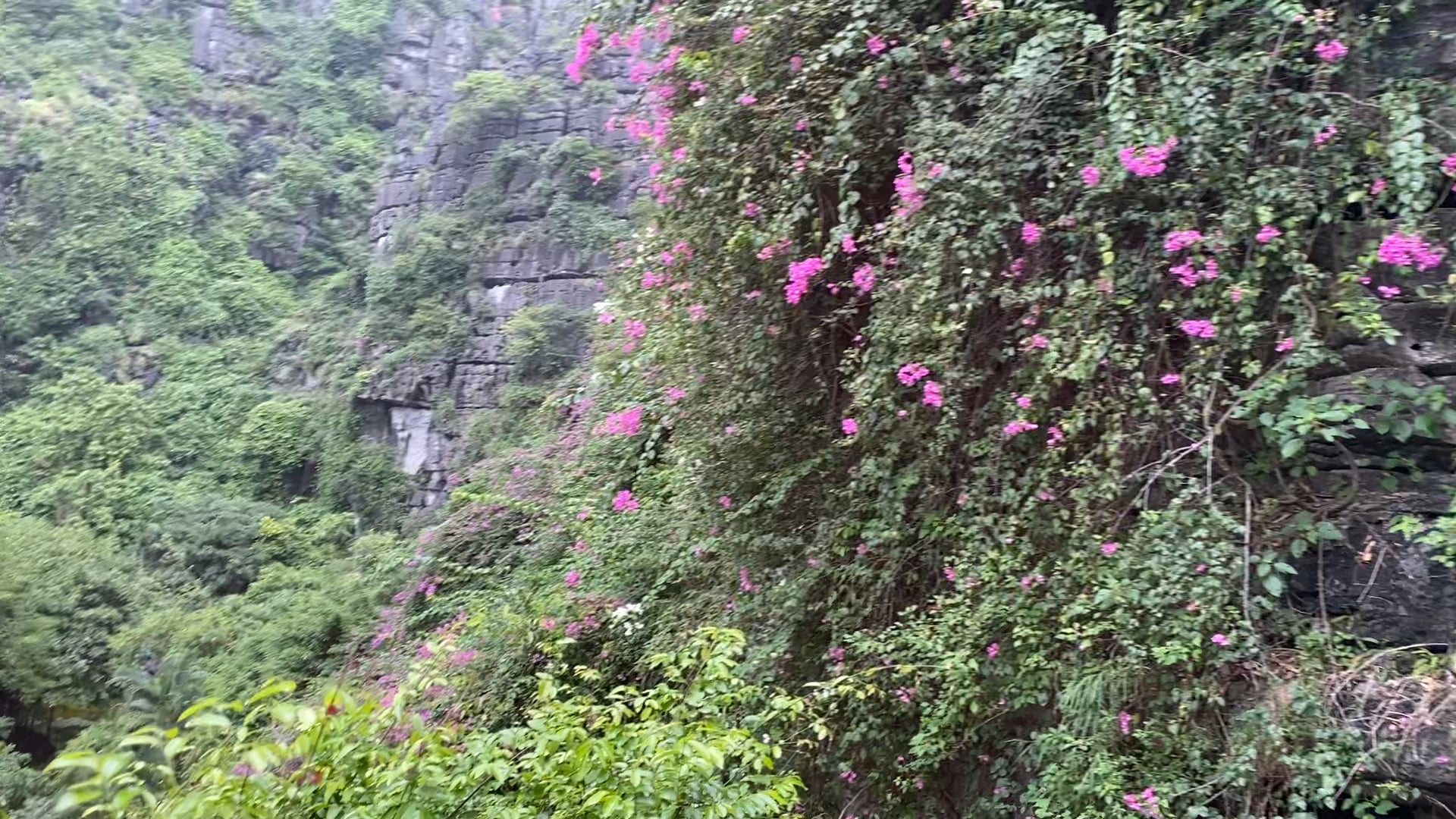 View from the mountain