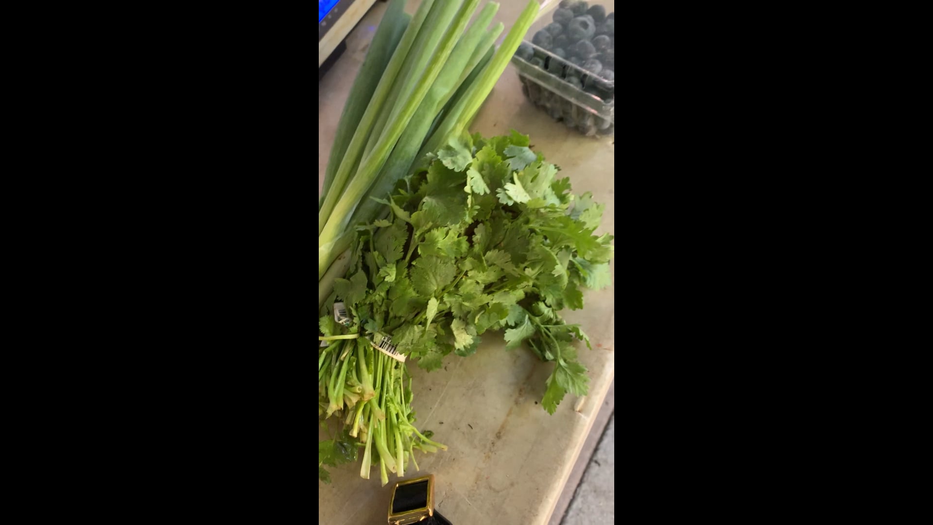 Cilantro and scallions