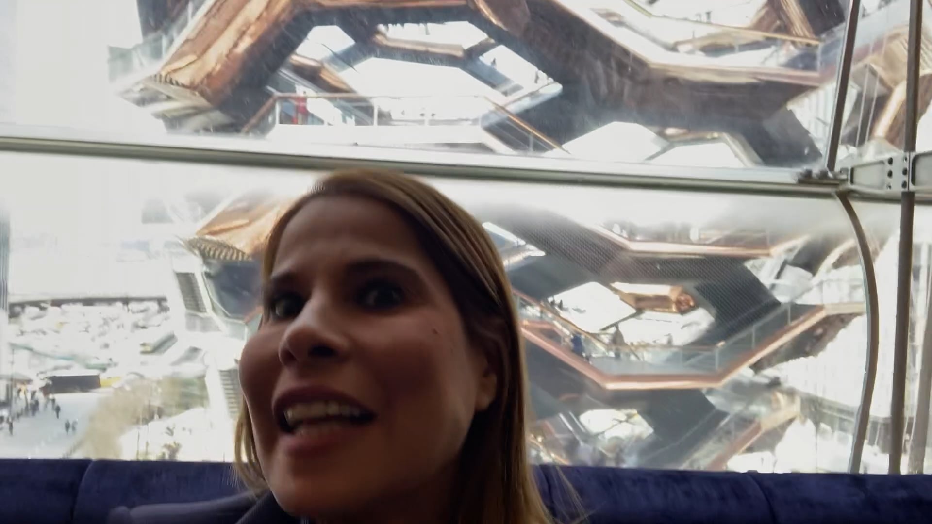 Hudson yards the vessel on the back ground