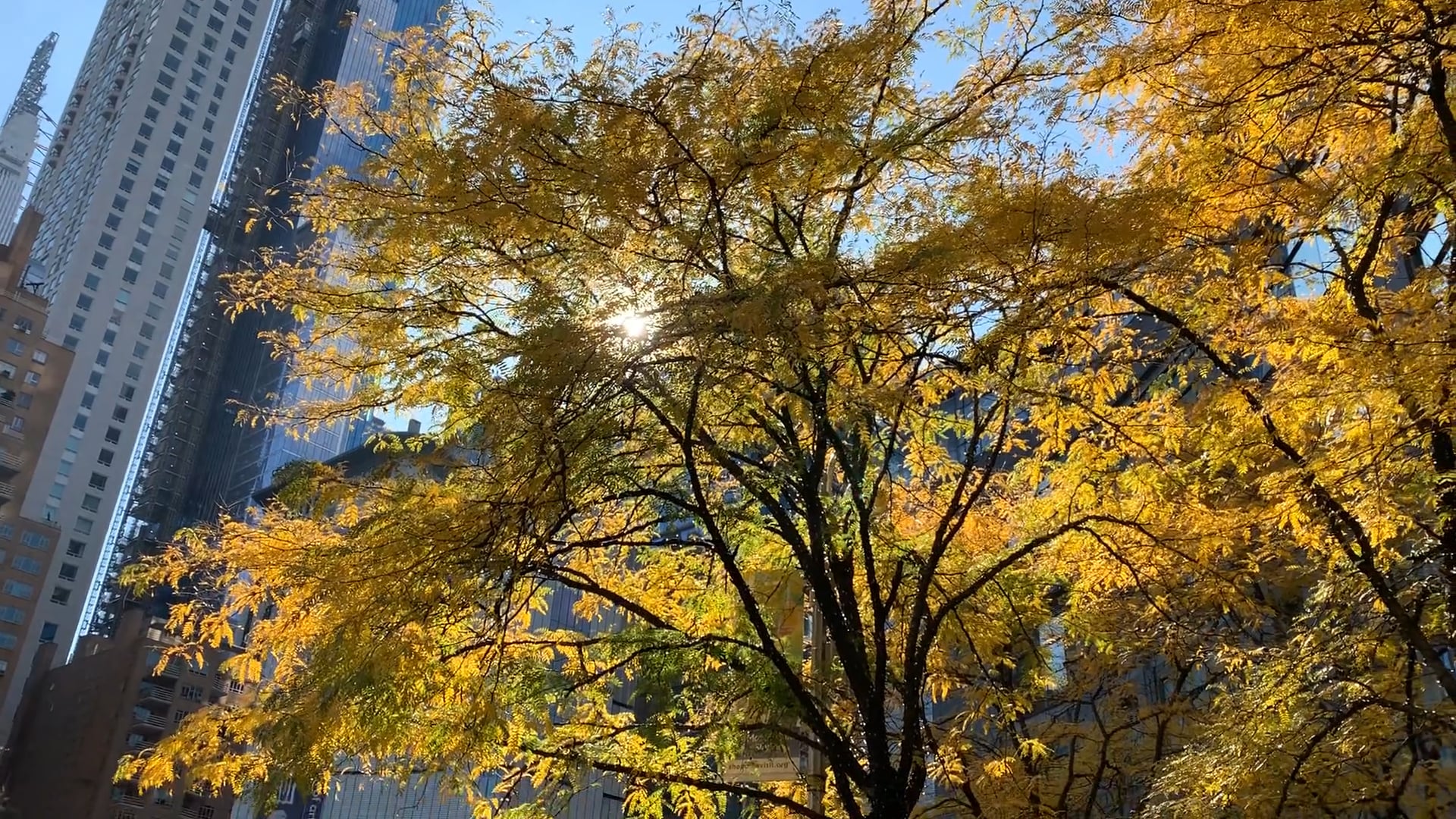 Marathon in the city