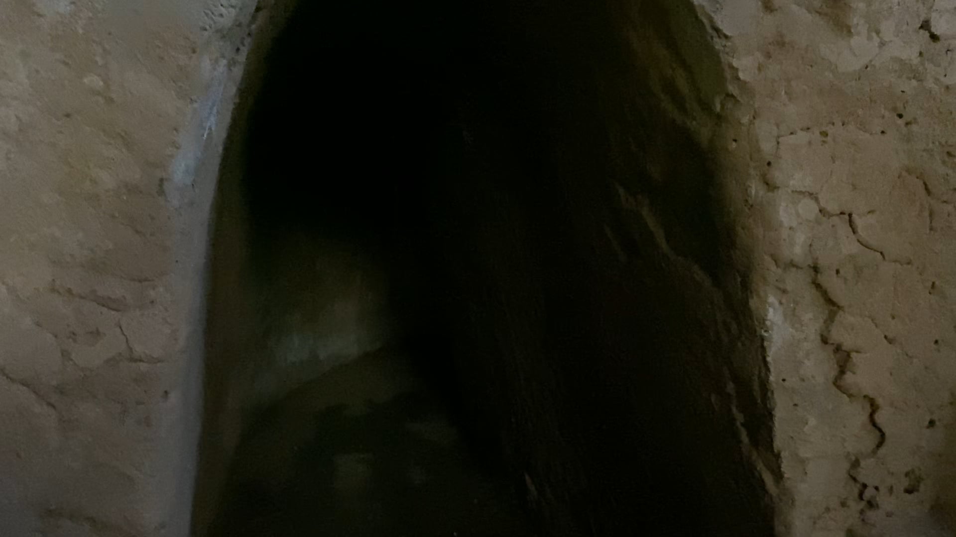 Museum with the tunnels