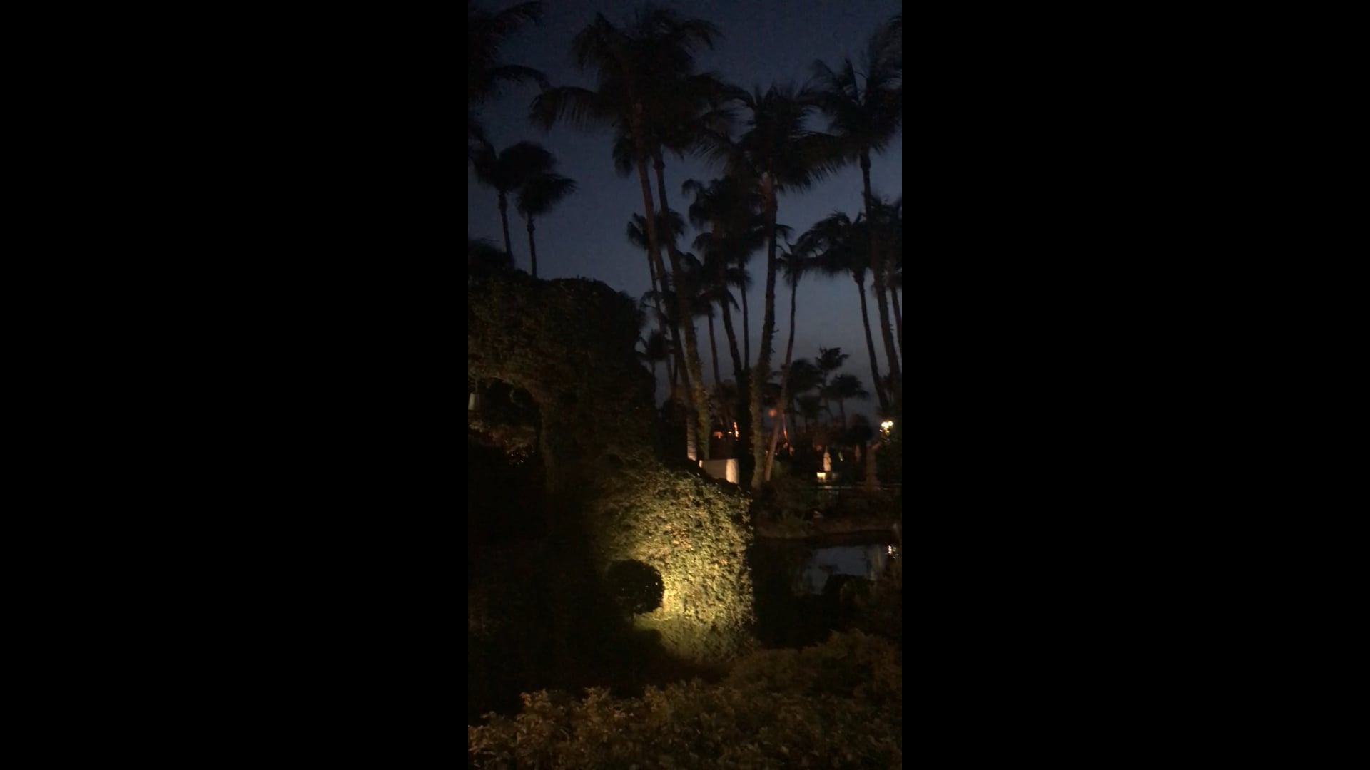 Lovely view at the Hyatt