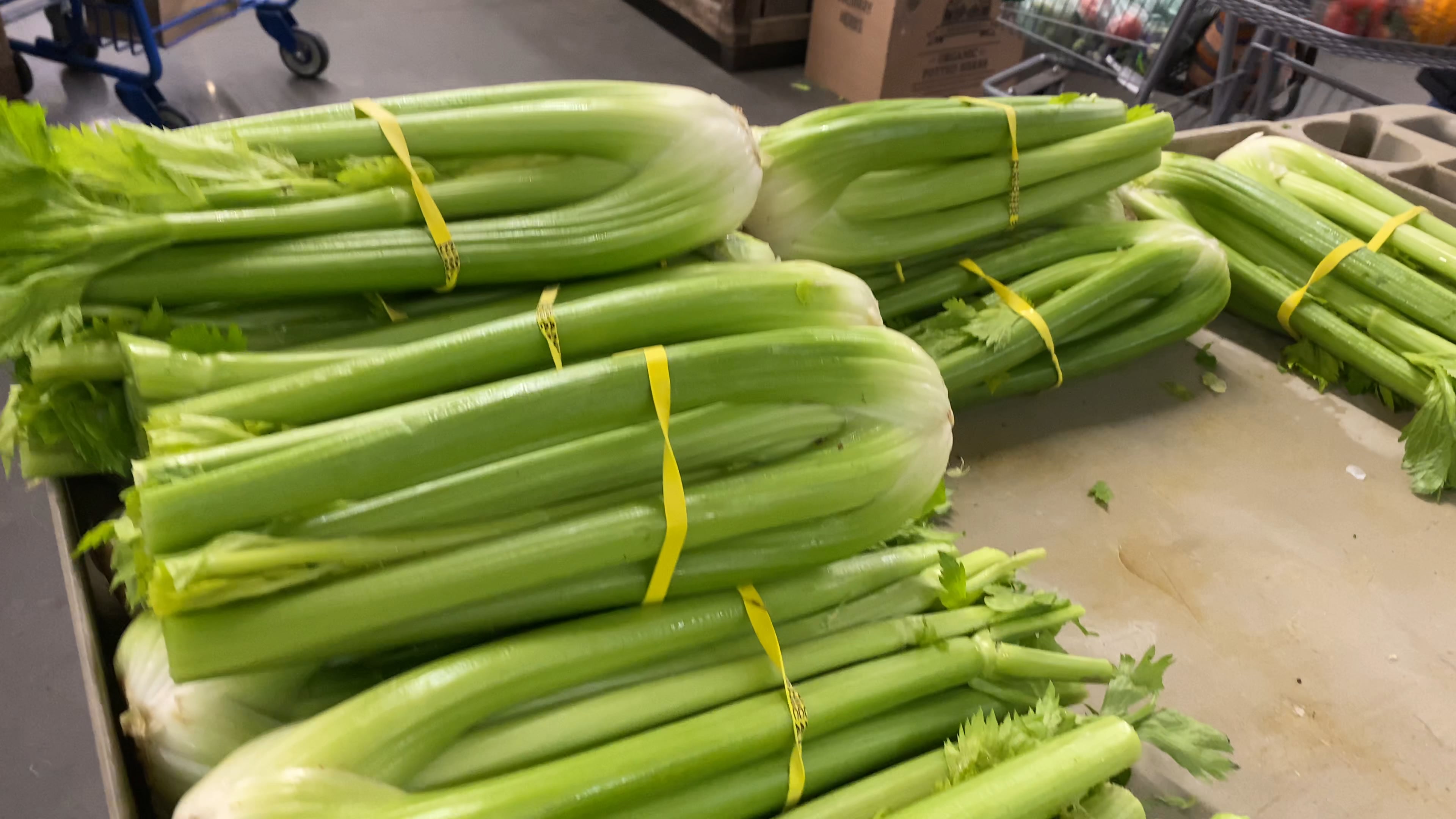 CELERY