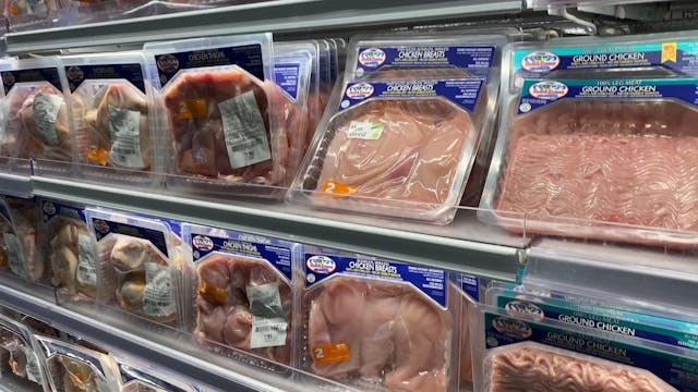 Chicken turkey