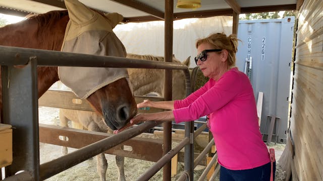 Horse whisperer