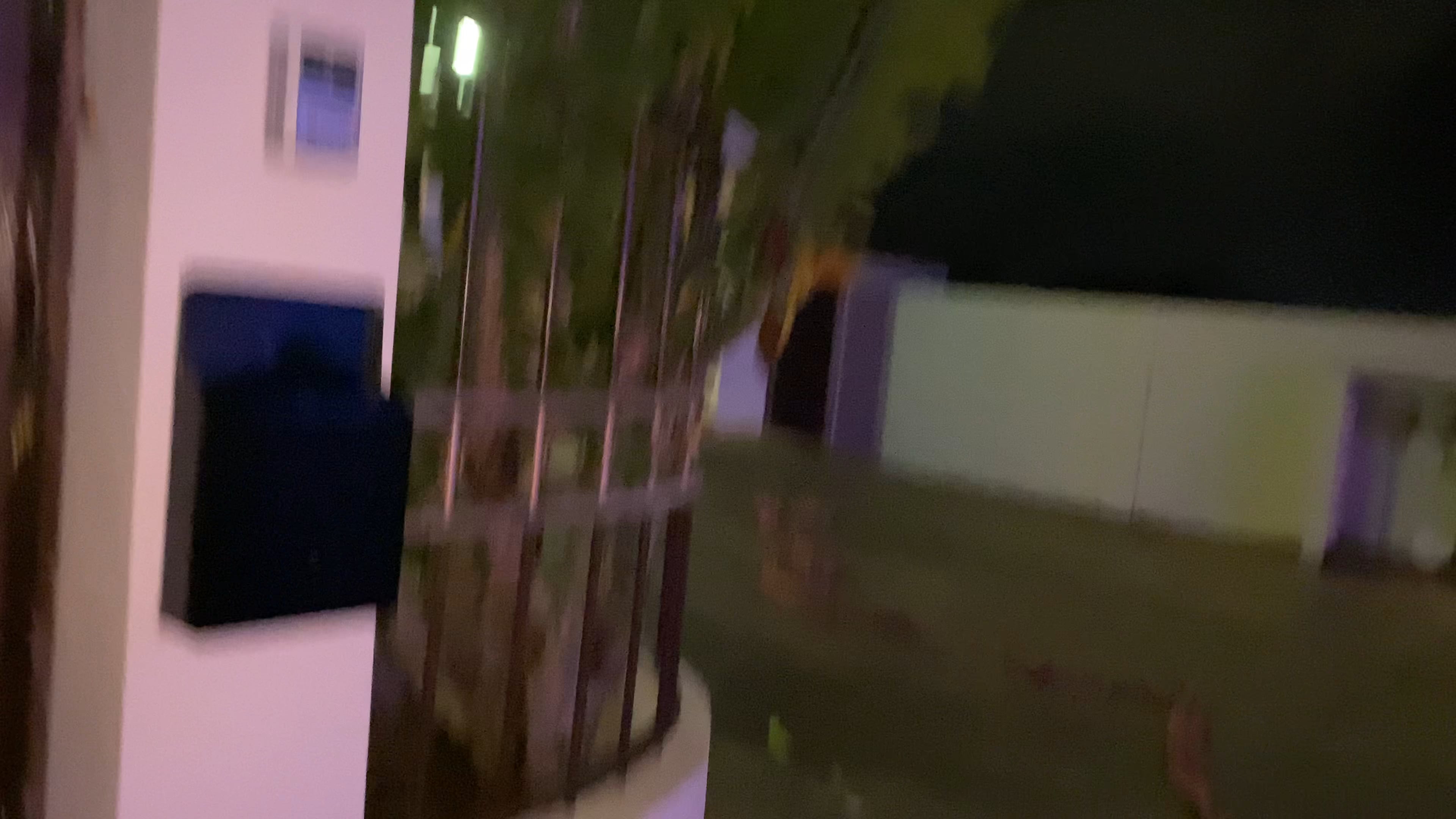 Pagara In Aruba 2020