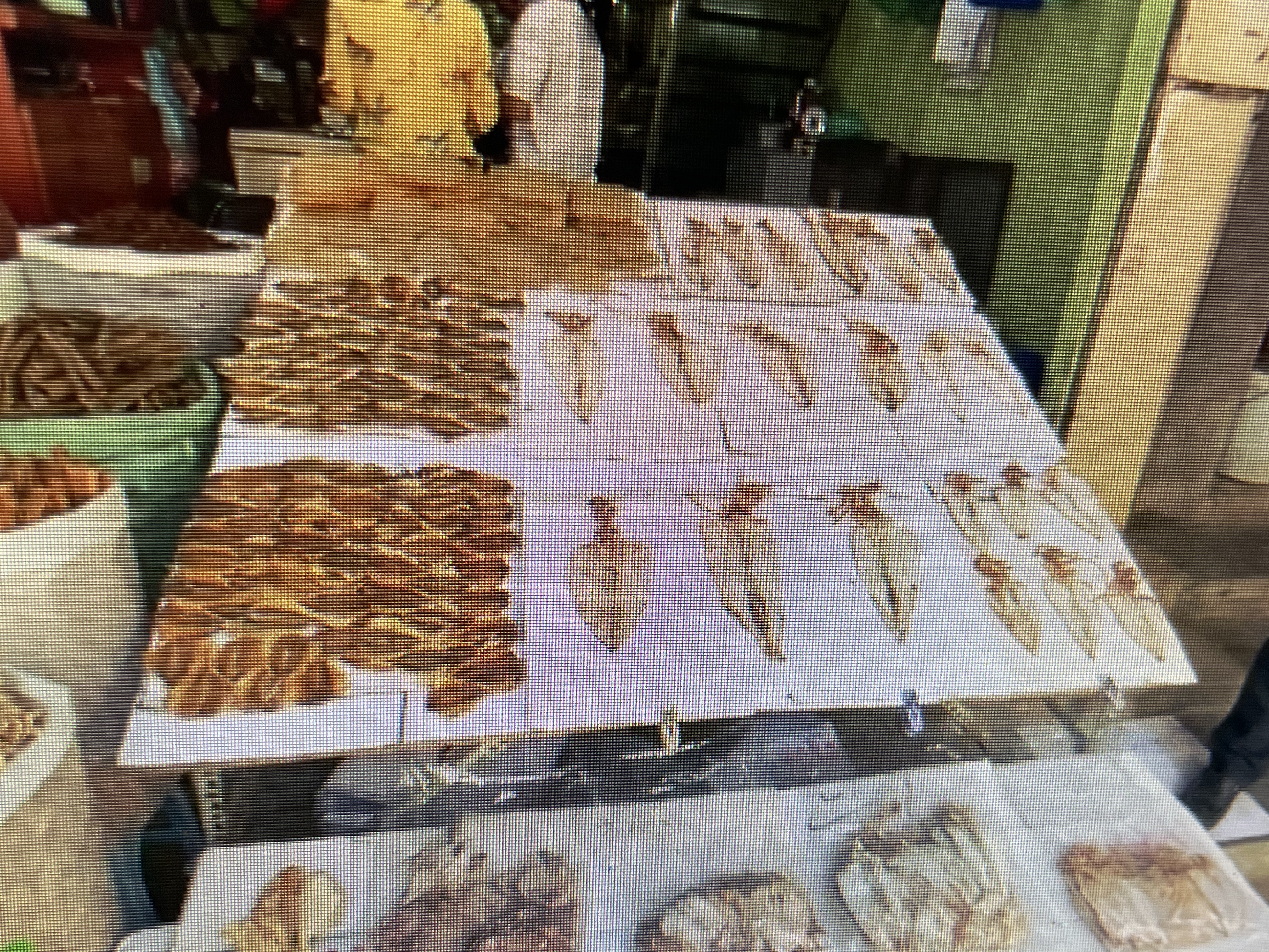 Dried fish