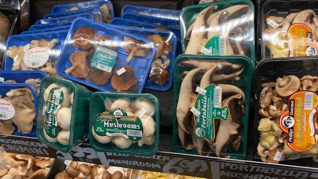 MUSHROOMS