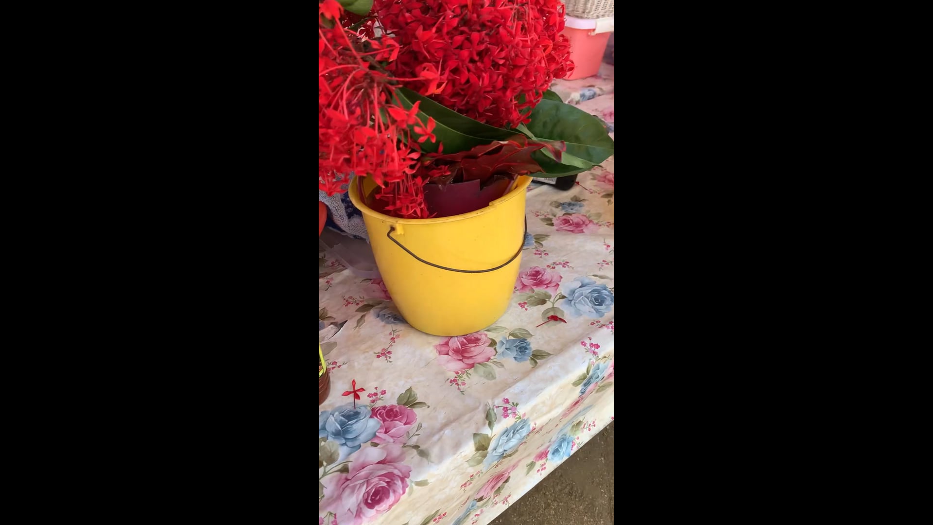 Another stand on the side of the road