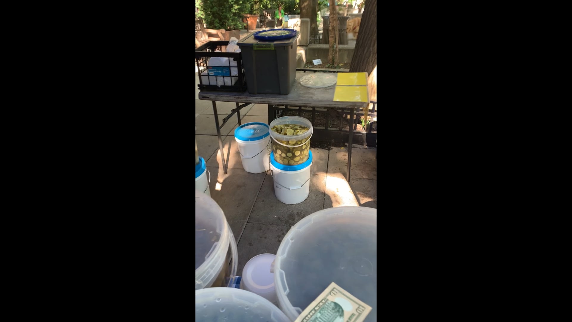 Yeah the pickles guy is here! 