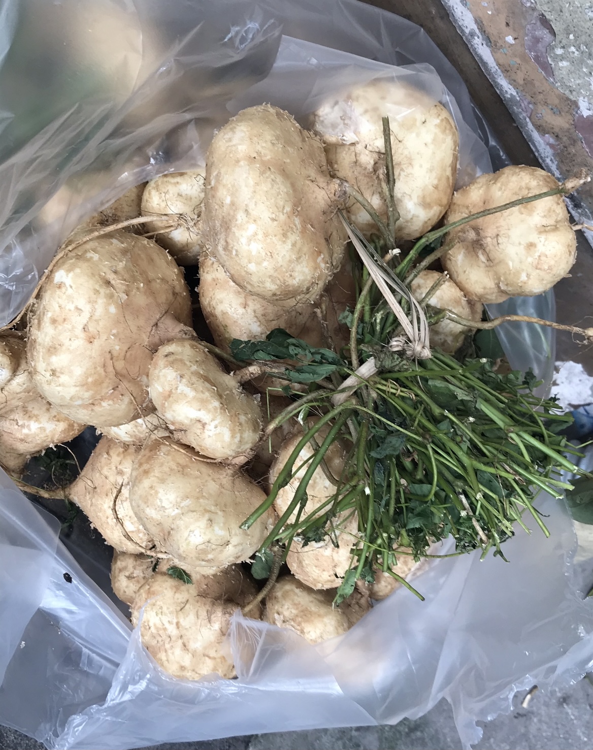 Shopping for Organic Healthy Ingredients ONLY