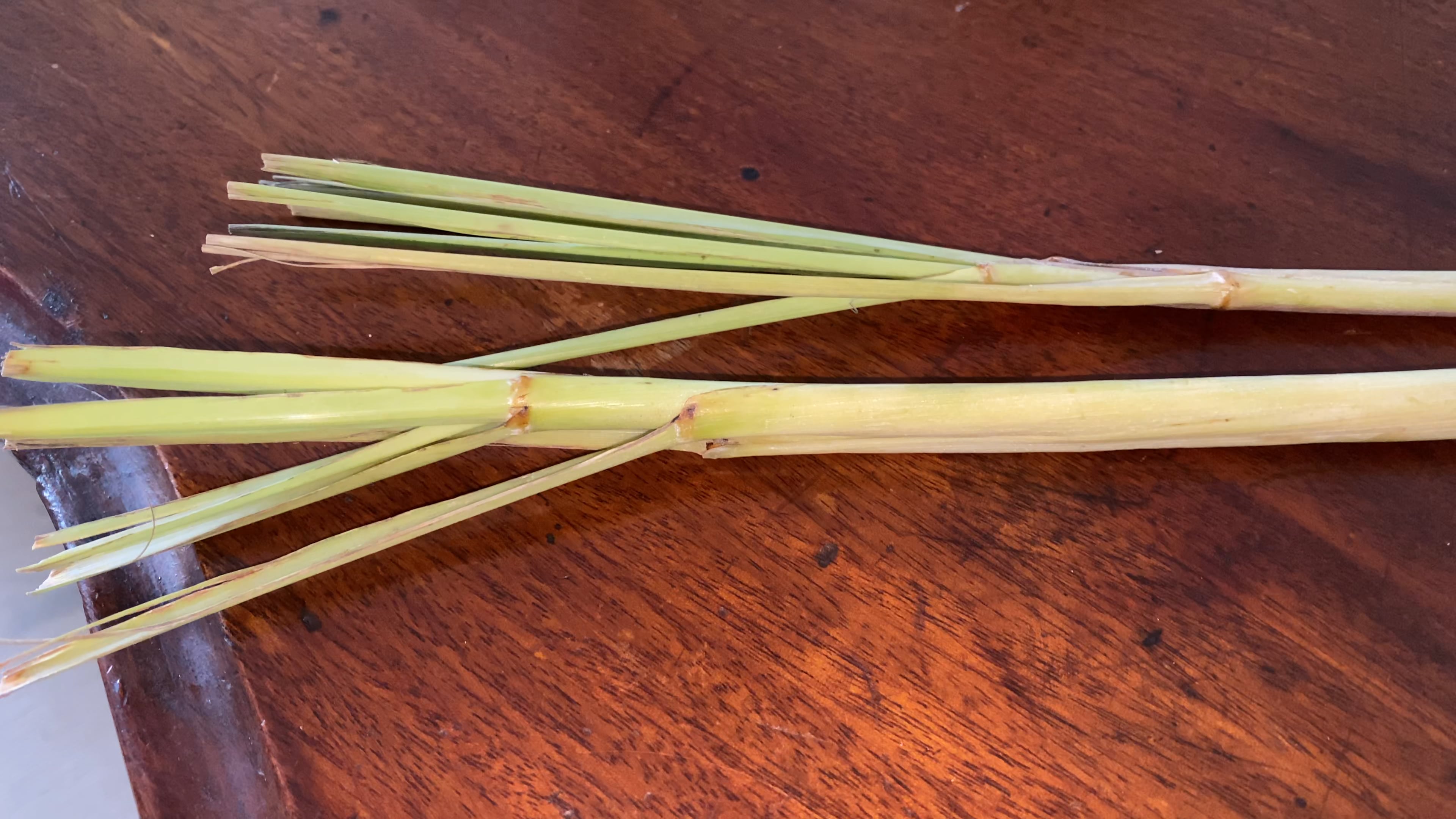 Lemon grass