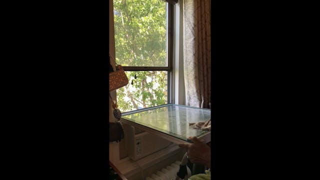 Cleaning the windows in Manhattan