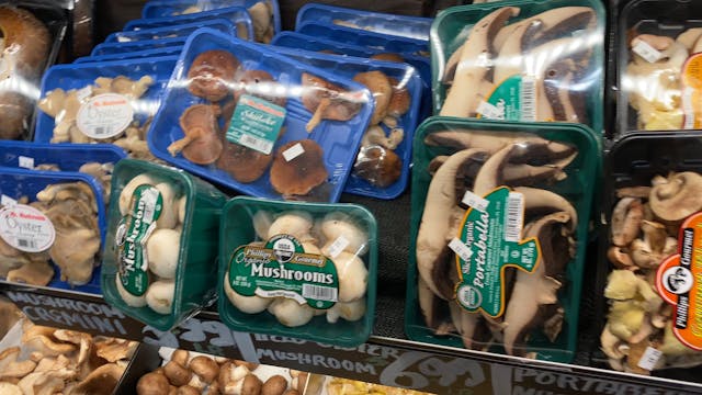 Mushrooms