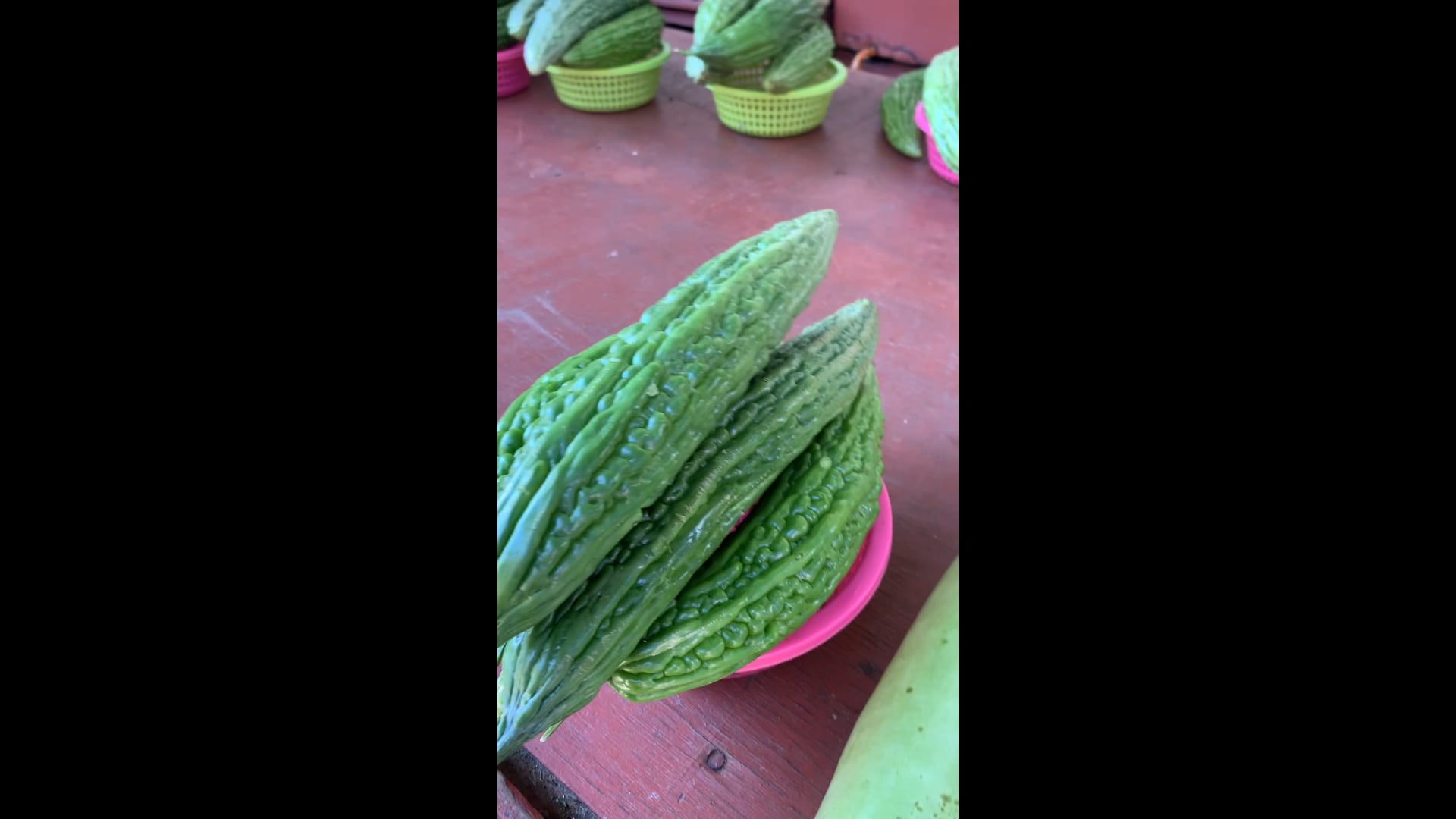 Sopropo and bitterlemon