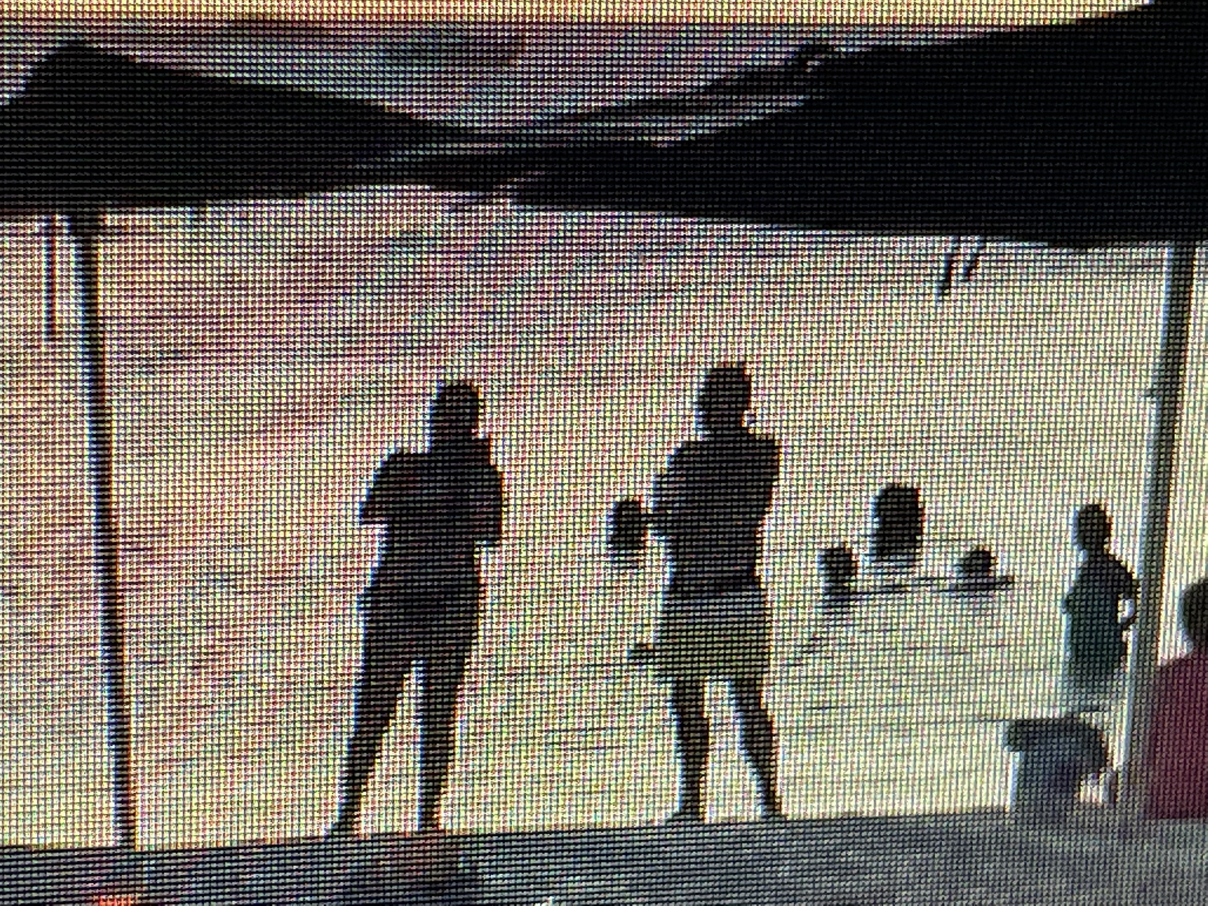 I know this belly on the beach