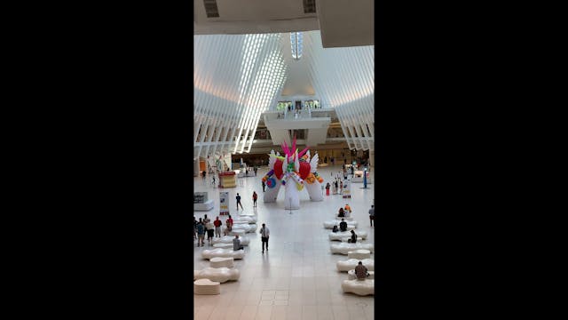 More Oculus