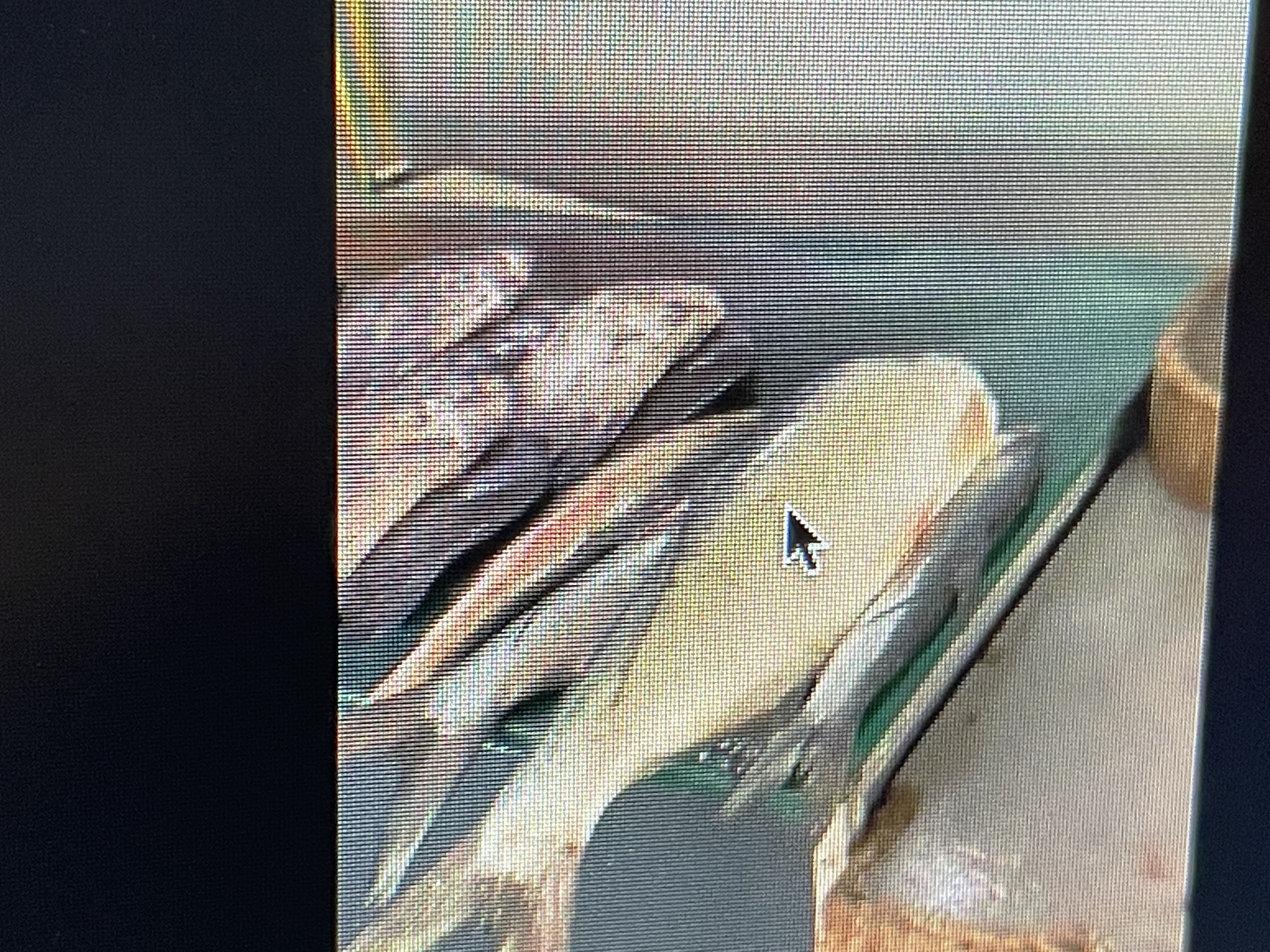 Many fish in Suriname