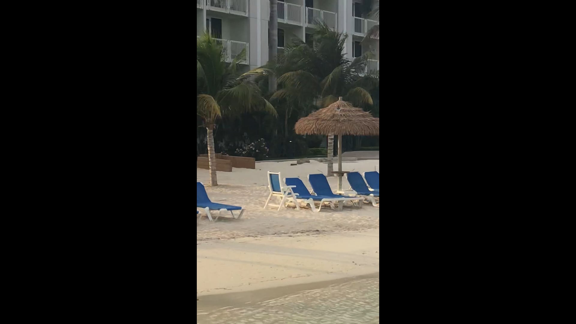 Private beach with Pelicans