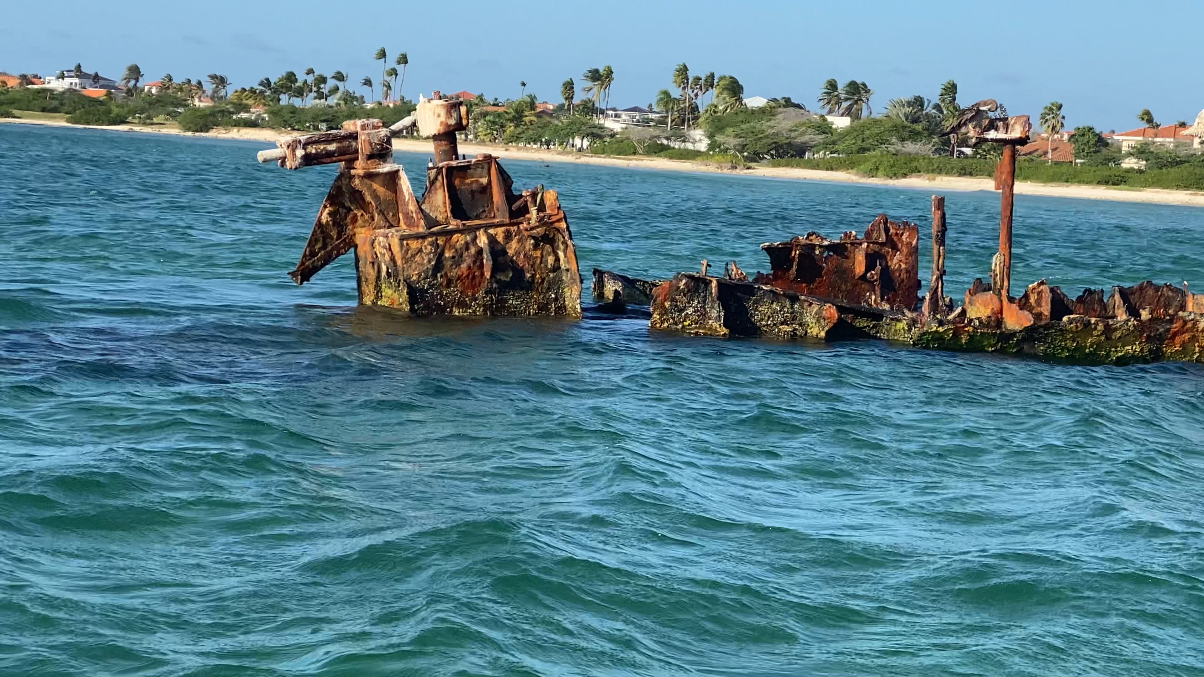 Pelican gathering spot