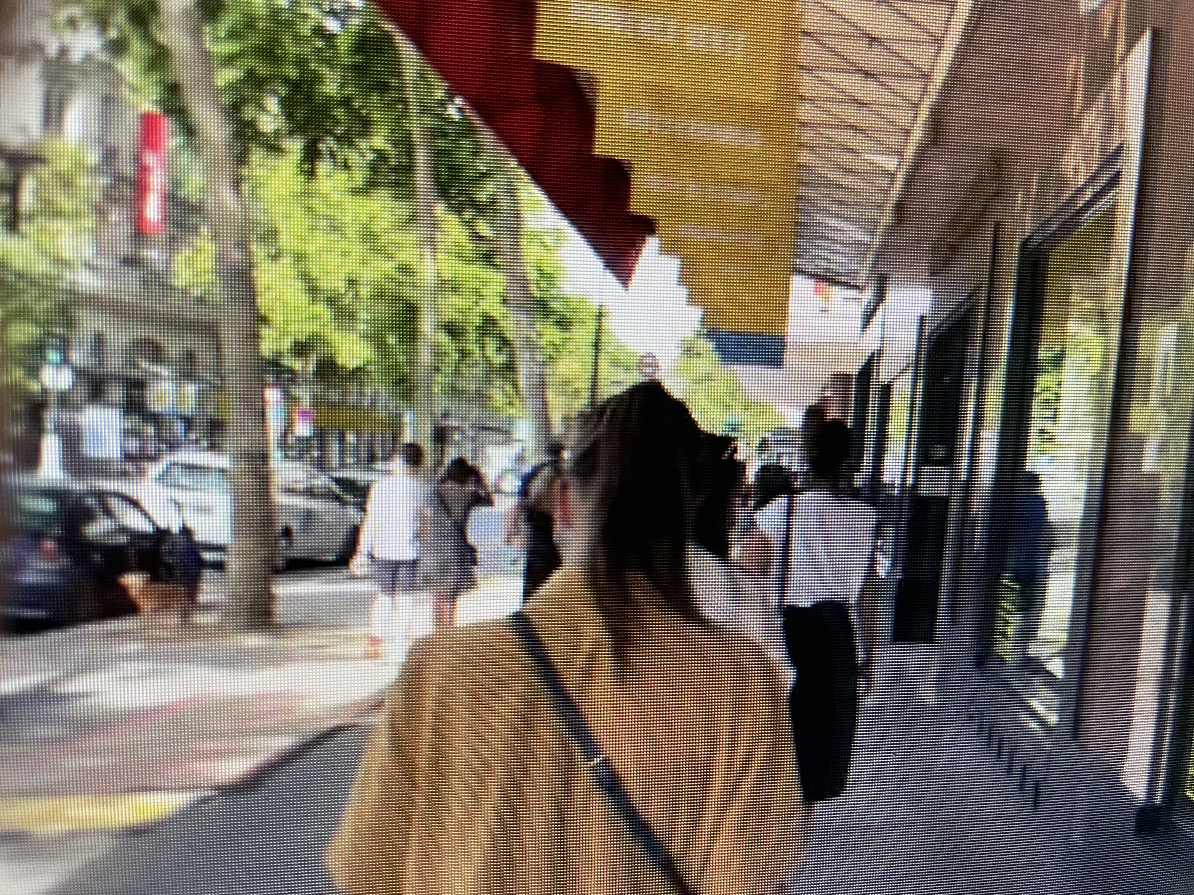 Line for gallery Lafayette