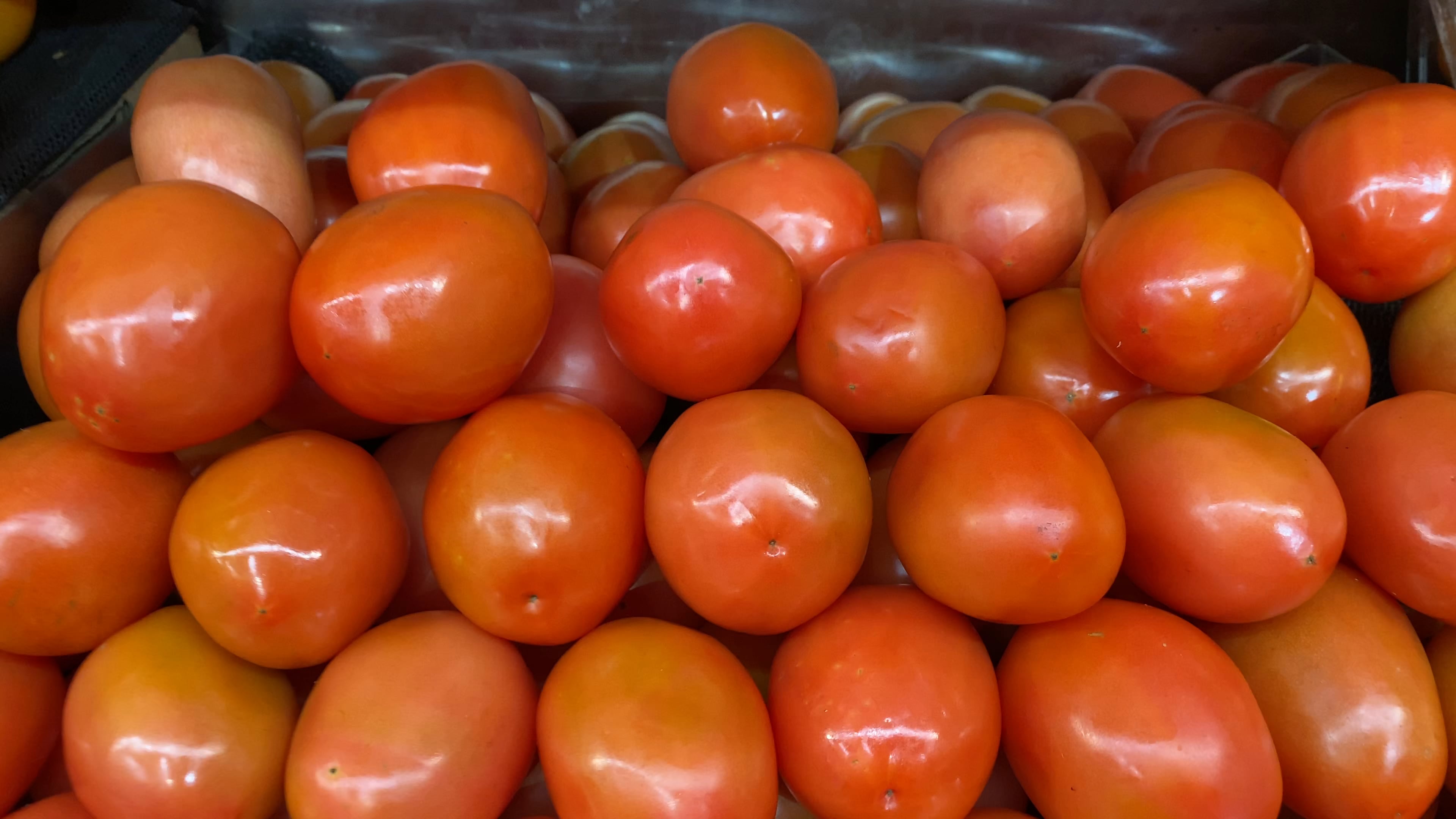Italian Tomatoes