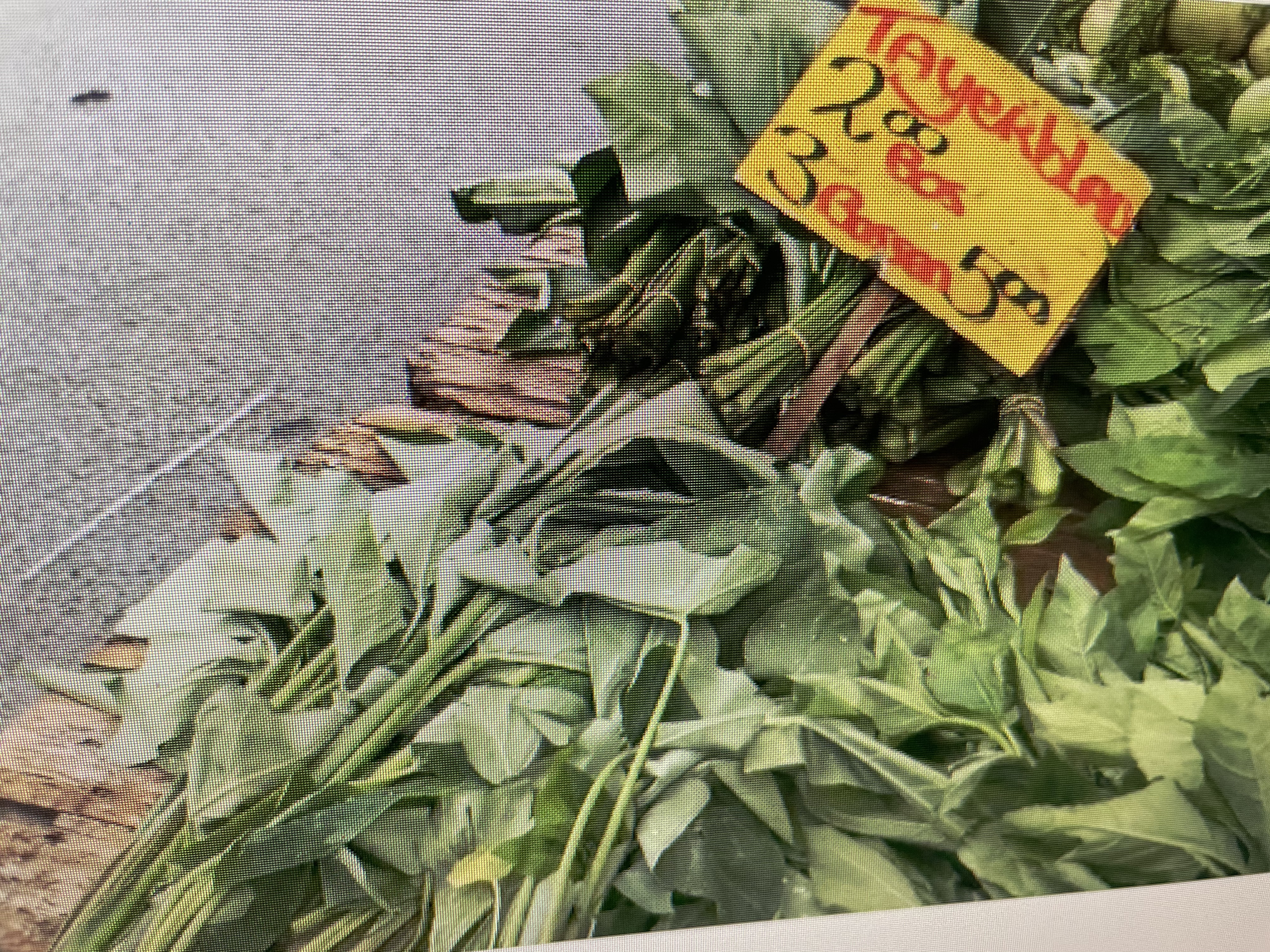 Green veggies in Suriname