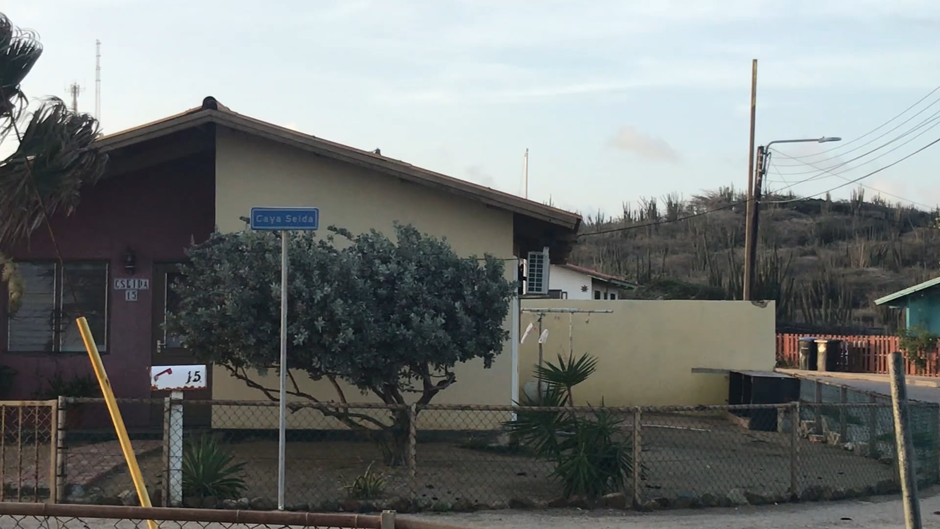 Dinner under the tree