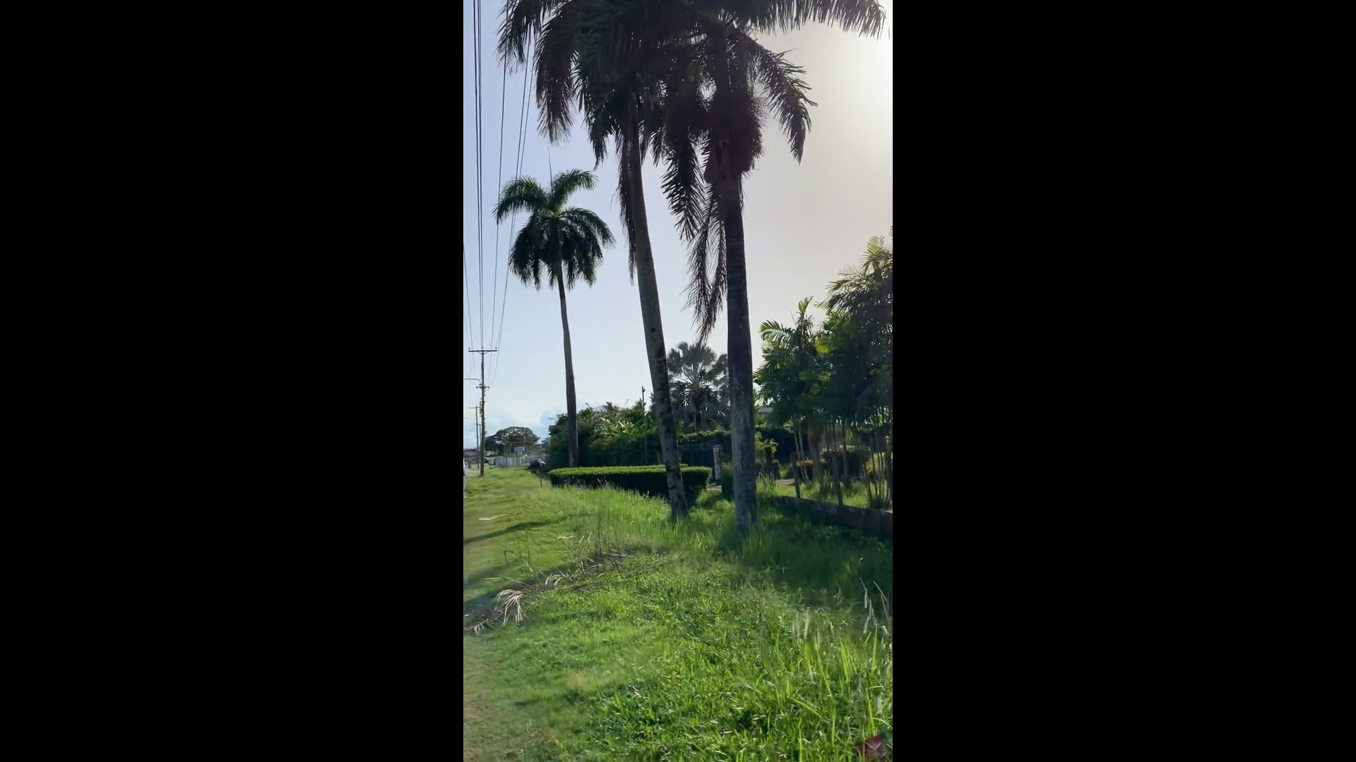 Walk from the hotel to the Chinese supermarket