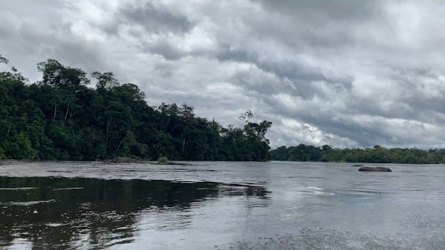 The banks of the river