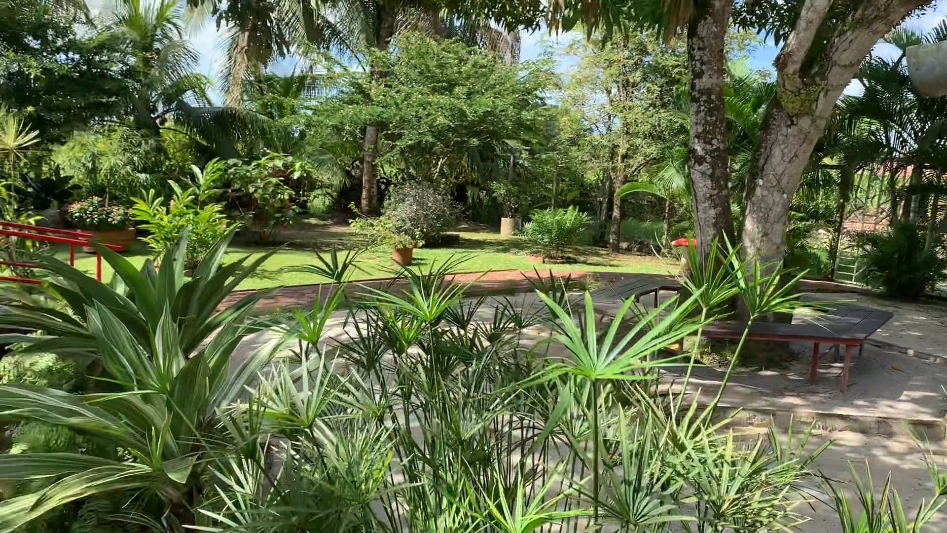 The garden at Reeza