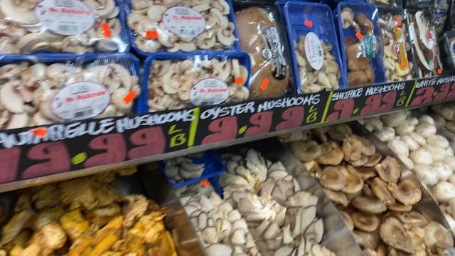 Mushrooms in NYC