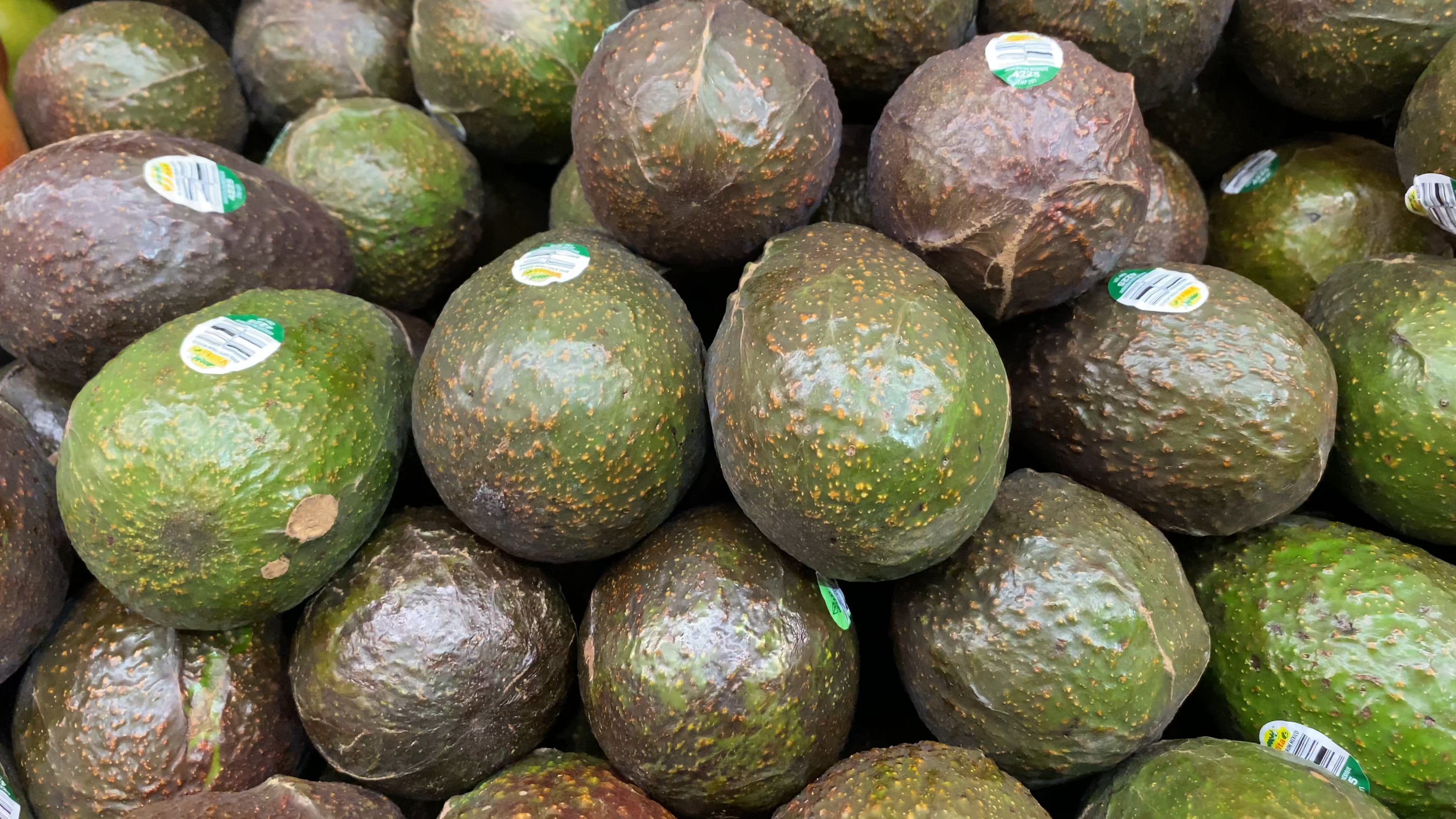 Avocado