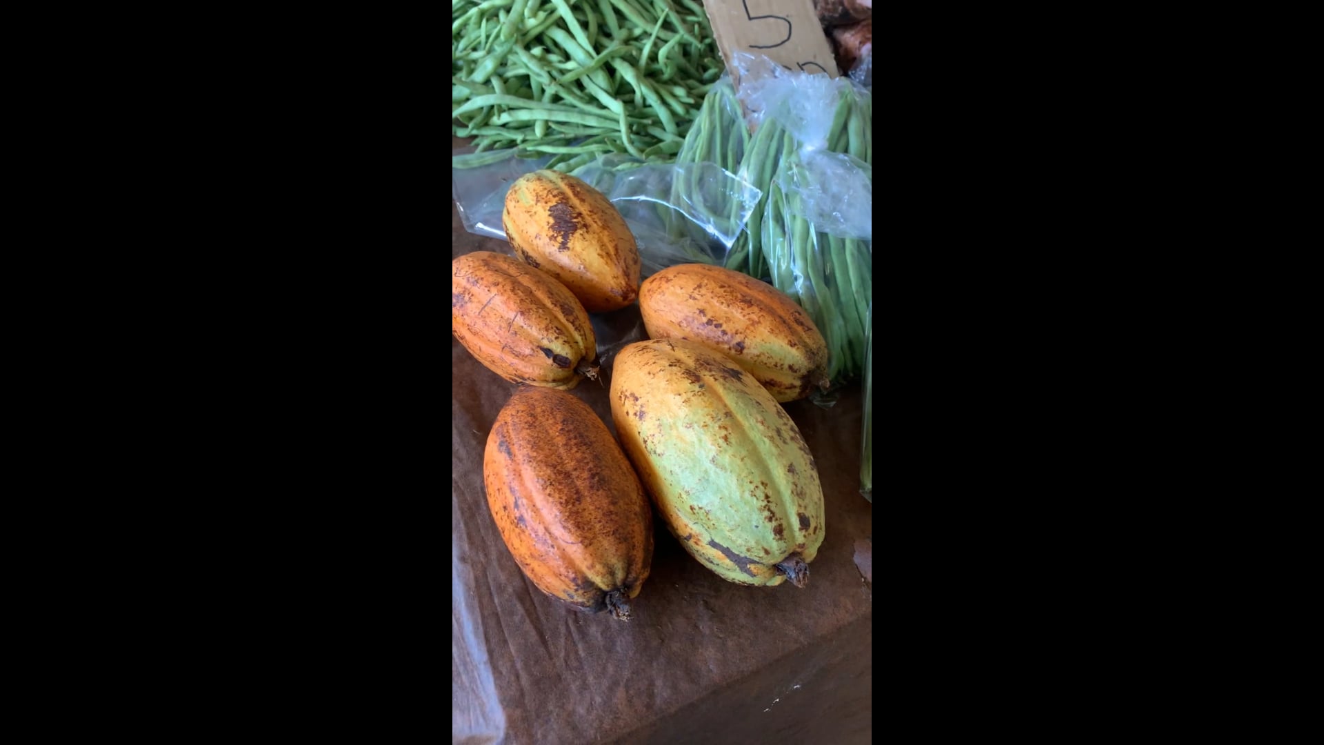 Cacao