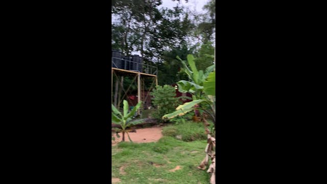 The resort Kinini patie