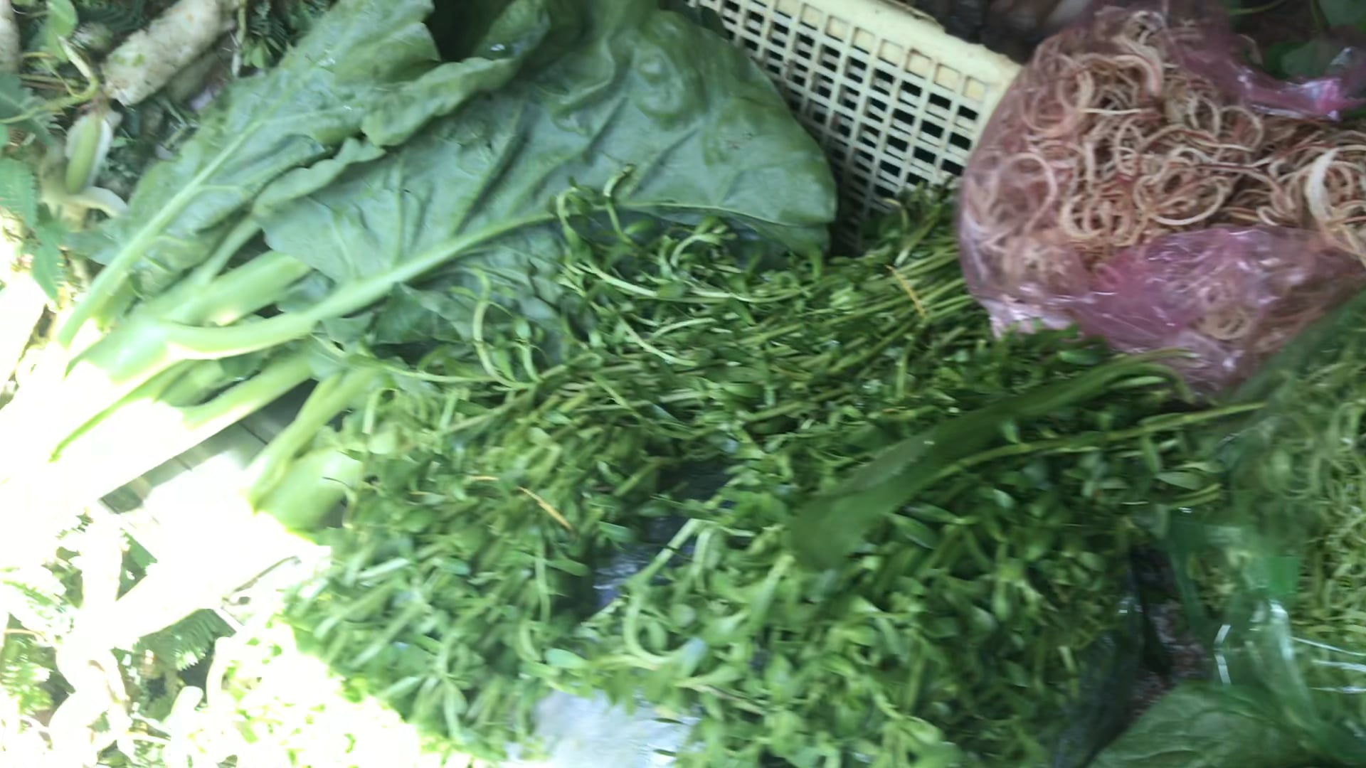 Veggies in Ho Chi min