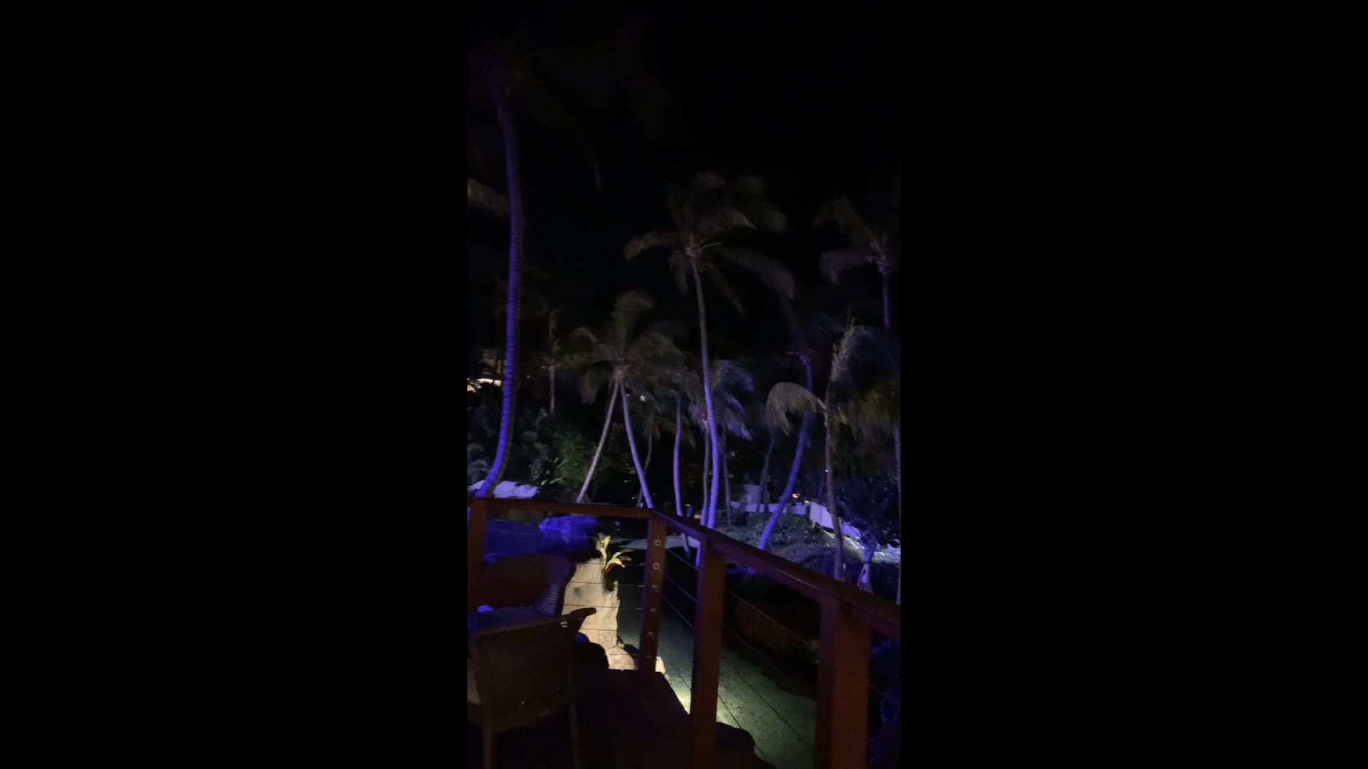 Sunset grill ambiance