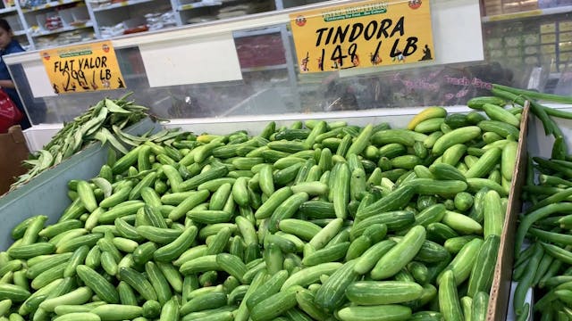 Lots of veggies