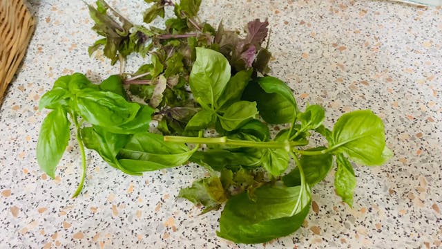 From my own  garden