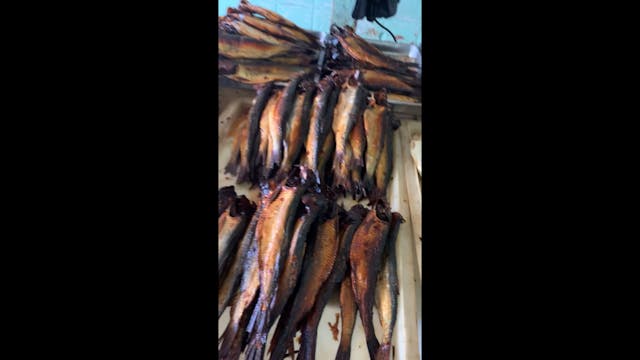 Dried herring