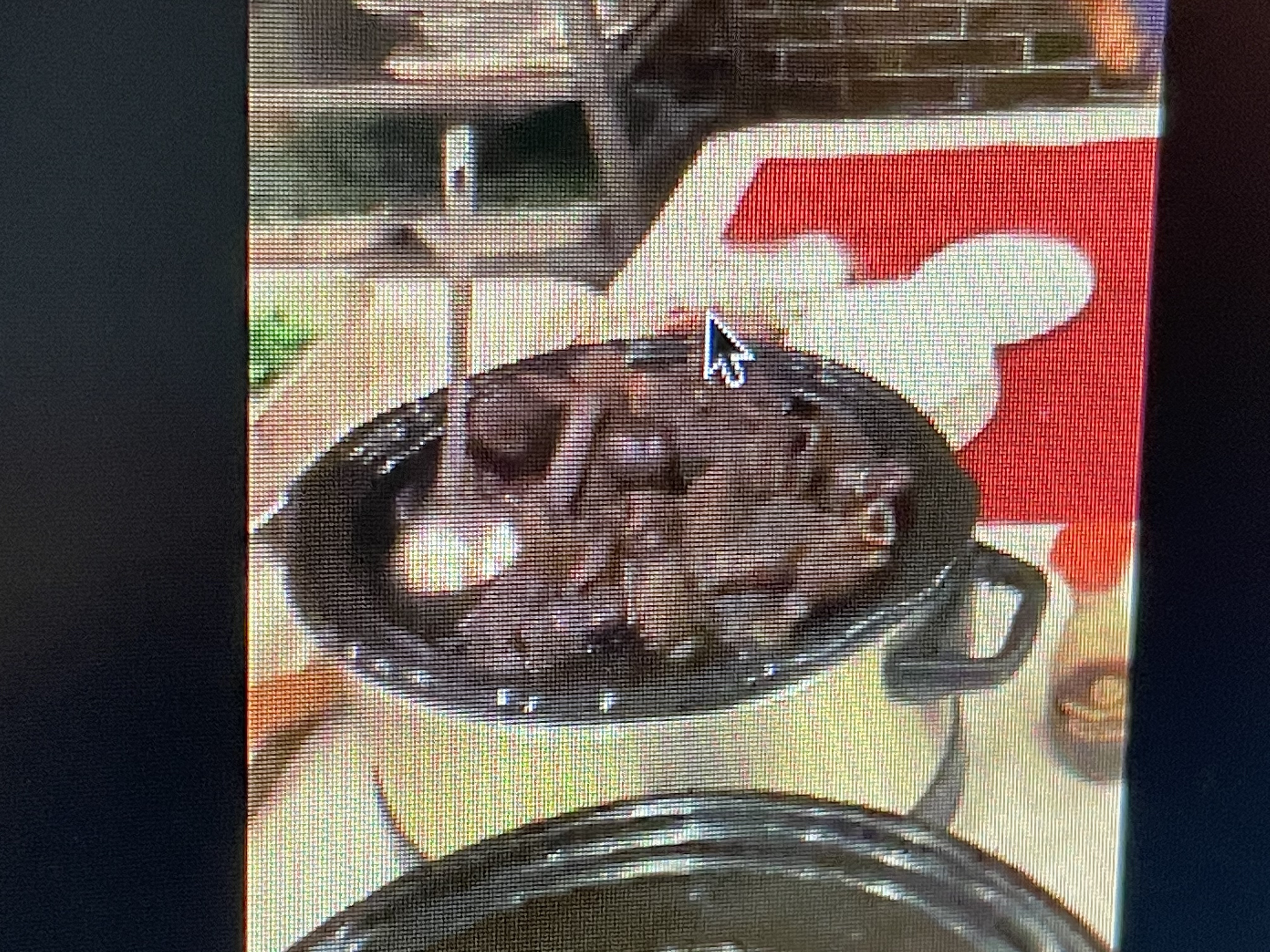 In some cultures they eat intestines